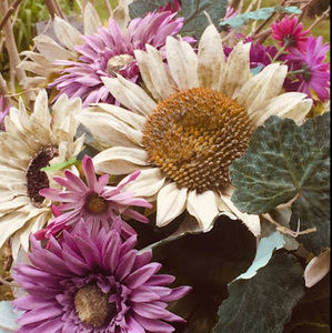 Meet your Posher, E3